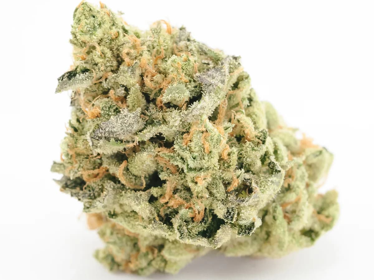 Wedding Cake licensed primary strain reference